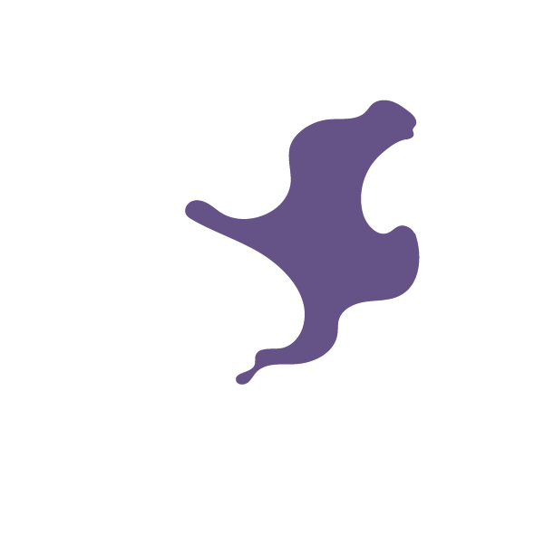 Mapa pintando a região do Brasil onde se localiza o bioma tamanduá-bandeira