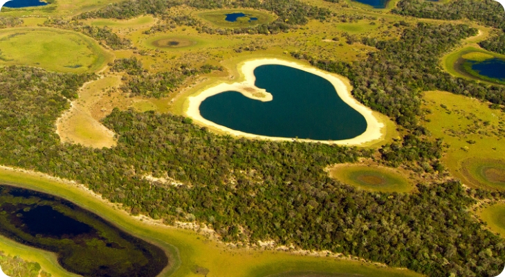 Imagem aérea de uma mata com um lago no meio.