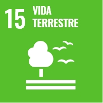 Vida terrestre