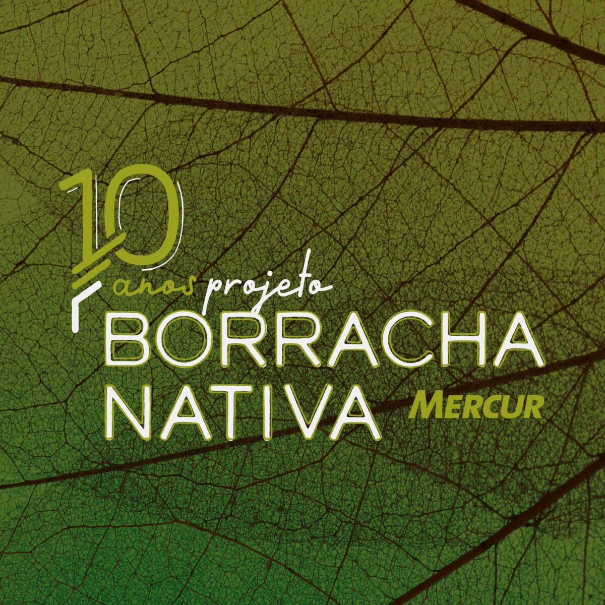 Borracha Nativa