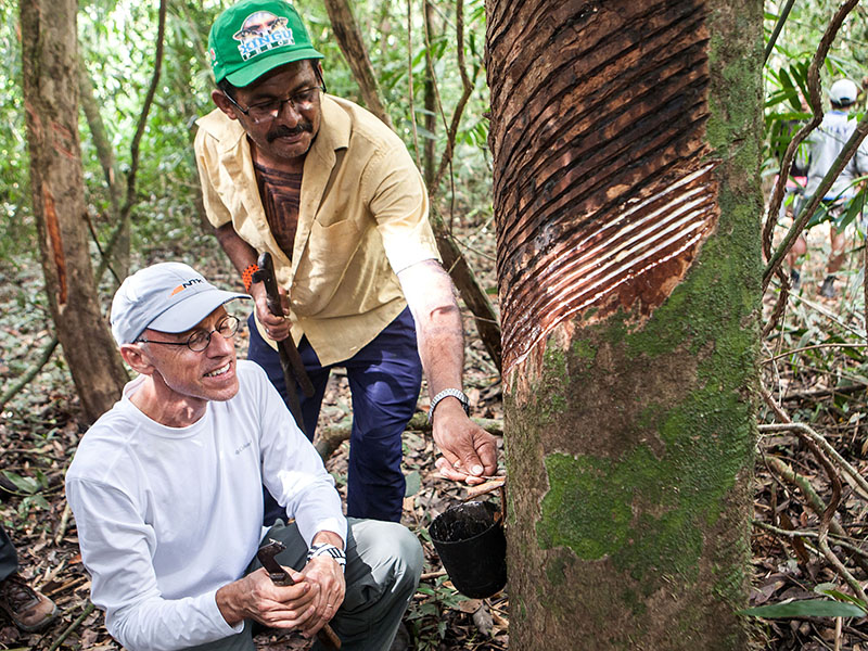 Empresa de borracha se reestruturou aos 80 anos para preservar floresta