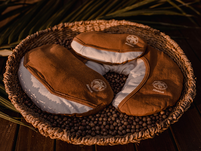 Imagem de um cesto de palha com diversos caroços do fruto açaí. Sobre eles, há três Bolsas Térmicas da Mercur de diferentes tamanhos. Em baixo do cesto há um galho de palmeira.