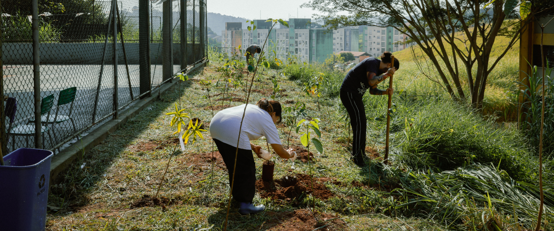 Ação ESG: Mercur planta 100 árvores para celebrar 100 anos