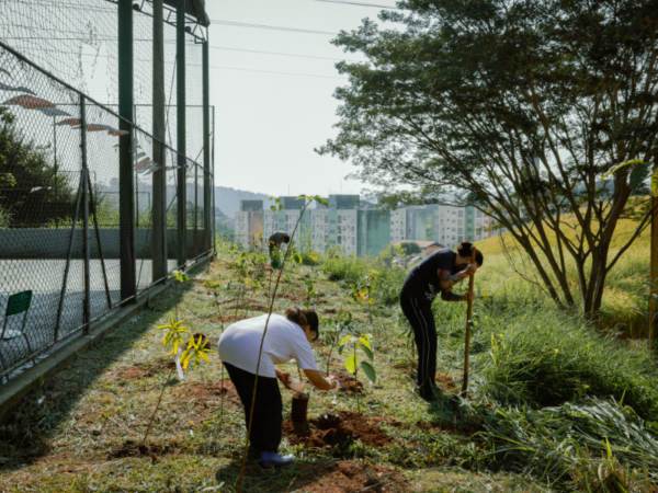 Ação ESG: Mercur planta 100 árvores para celebrar 100 anos