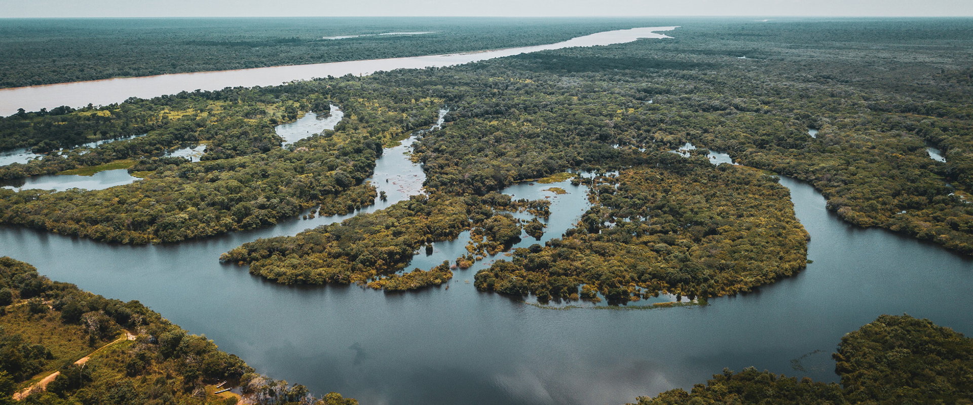 Como posso ajudar a preservar a Amazônia?