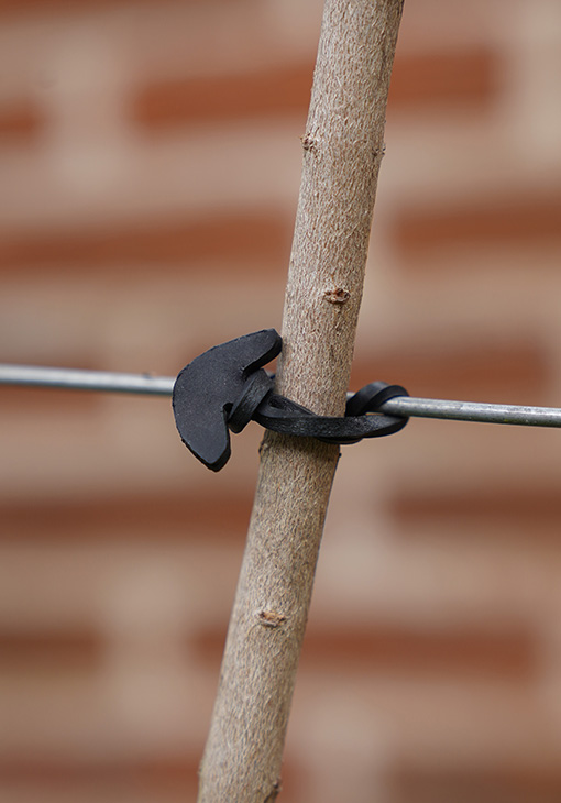 Conduflex
